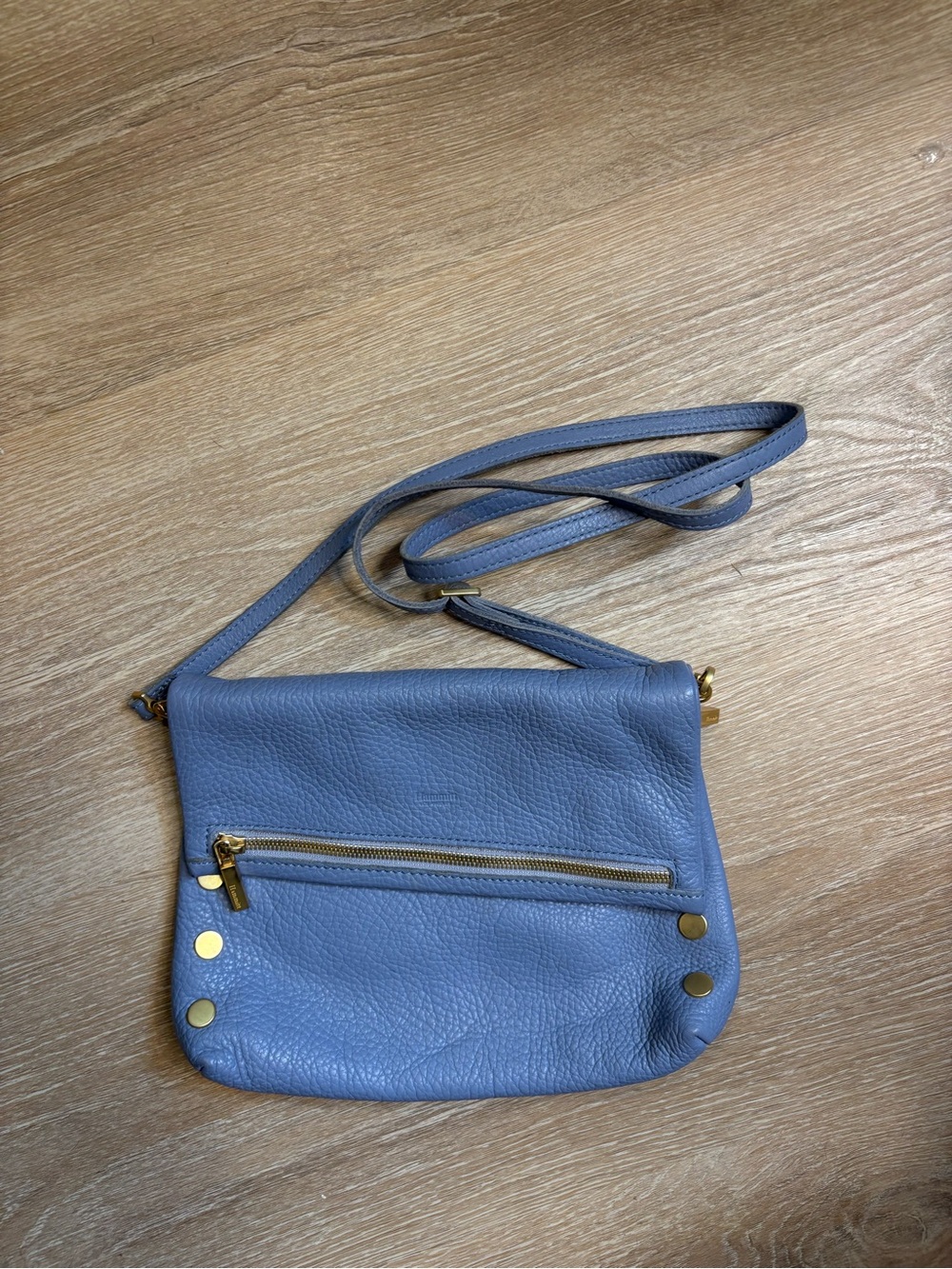Hammitt Leather Crossbody Bag in Light Blue